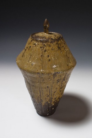 Haiyūsai Kokusen Lidded Vase by Ikai Yūichi: click to enlarge