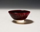 Shinshayū Saké Cup by Tamaya Kōsei