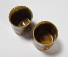 Ameyūsai Green Tea Cup Set by Ikai Yūichi