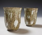 Haiyūsai Pottery Glass Set by Ikai Yūichi