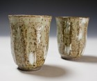 Haiyūsai Pottery Glass Set by Ikai Yūichi